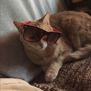 Meet your Posher, Taylor